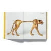 Acne Paper Issue 20 | Golden