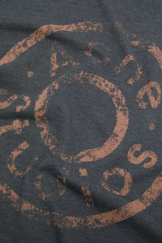 Distressed logo t-shirt