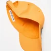 Sprayed graphic cap